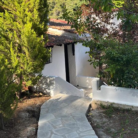 Sani Garden House Villa Kültér fotó