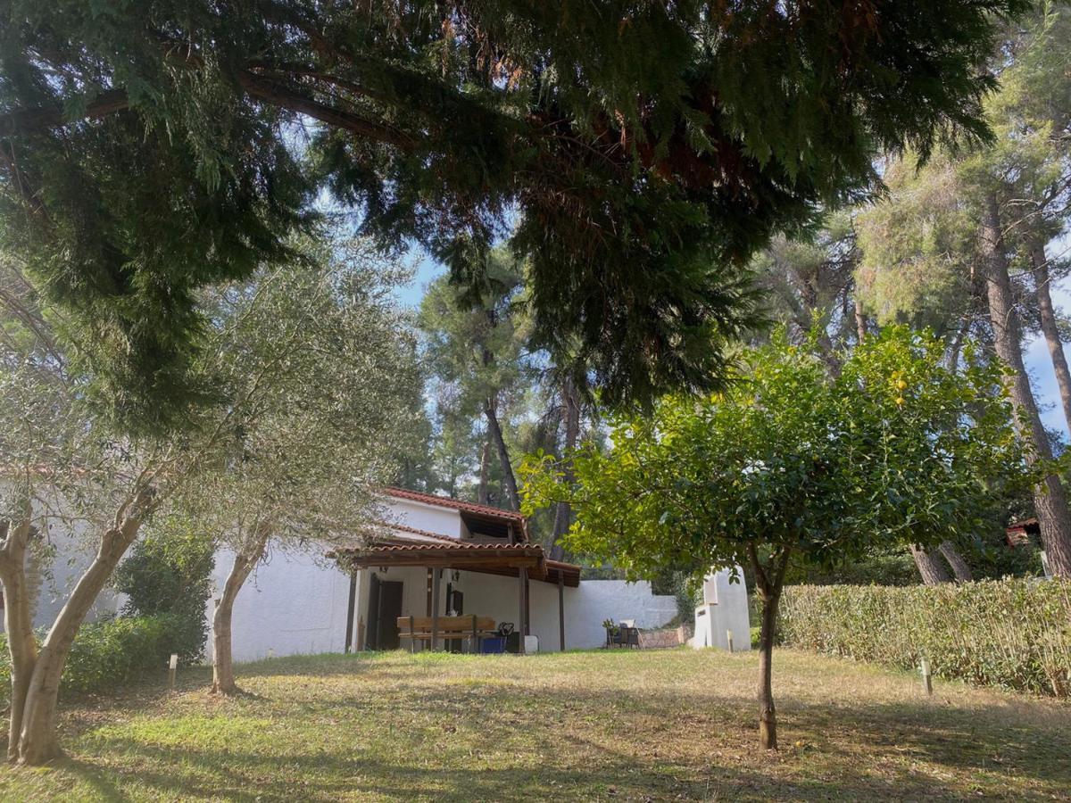 Sani Garden House Villa Kültér fotó