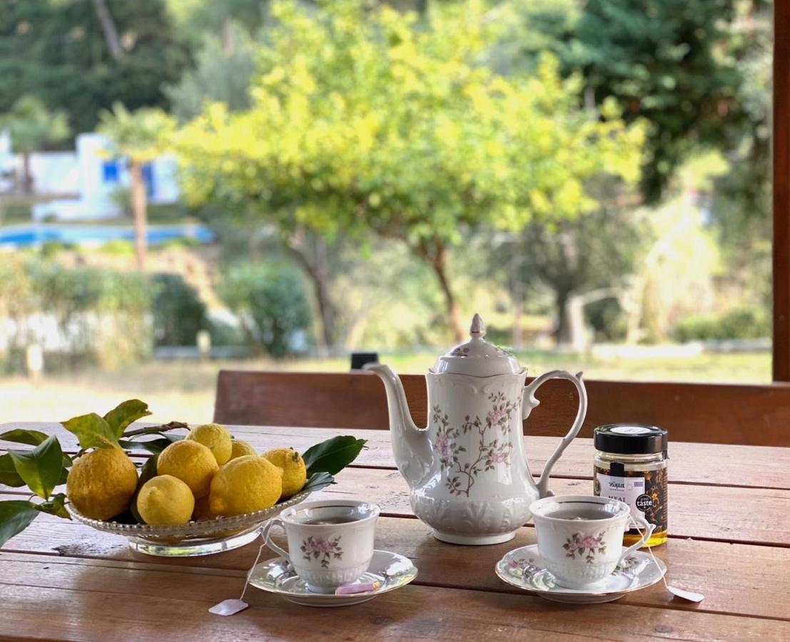 Sani Garden House Villa Kültér fotó