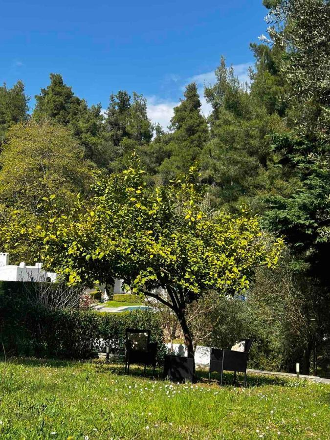 Sani Garden House Villa Kültér fotó